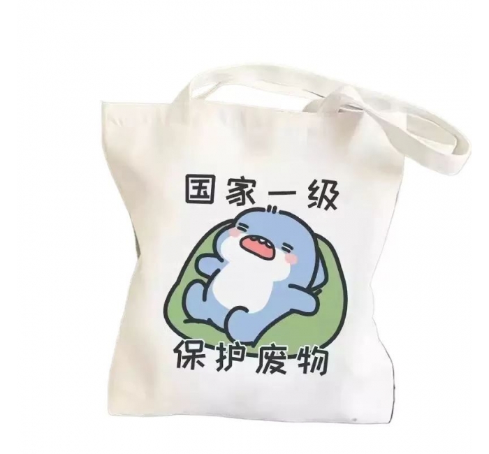 学生帆布袋背包新款手提帆布包拎书袋补习布袋子上班手拎单肩大号